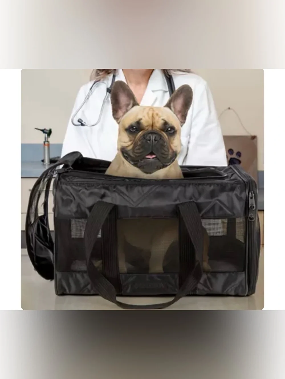 Sherpa Deluxe Guaranteed On Board Soft Sided Dog & Cat Carrier - Soft Travel